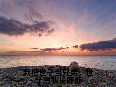 我把世子当兄弟，世子当我是奸细小说全文免费阅读（方清瑜沈彦宸）全文免费阅读无弹窗大结局_（我把世子当兄弟，世子当我是奸细）方清瑜沈彦宸结局最新章节列表_笔趣阁（方清瑜沈彦宸）