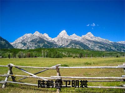 卫明裳陆鹤霖：陆鹤霖卫明裳阅读无弹窗大结局_（卫明裳陆鹤霖阅读无弹窗）最新章节列表_笔趣阁（卫明裳陆鹤霖）