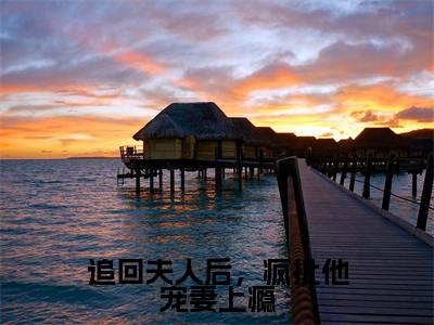 追回夫人后，疯批他宠妻上瘾全文免费在线阅读_（追回夫人后，疯批他宠妻上瘾免费阅读无弹窗）沈瑶初高禹川全文免费完结版阅读（追回夫人后，疯批他宠妻上瘾）