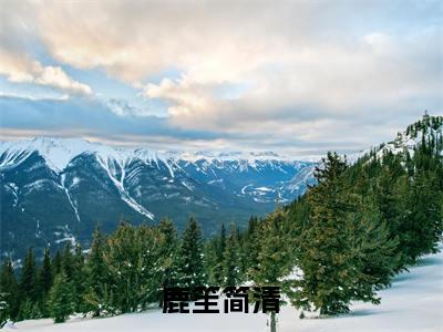 鹿笙简清全文免费在线阅读_简清鹿笙全文免费阅读无弹窗大结局
