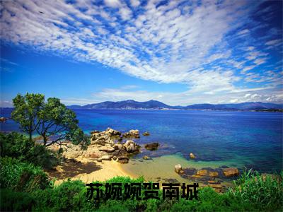 贺南城苏婉婉（苏婉婉贺南城）全文免费阅读无弹窗大结局_贺南城苏婉婉最新章节列表_笔趣阁（苏婉婉贺南城）