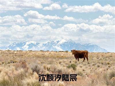 沈颜汐陆宸（陆宸沈颜汐）全文免费阅读无弹窗大结局_陆宸沈颜汐无弹窗最新章节列表_笔趣阁
