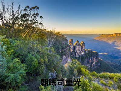司重光朝曦全文阅读-朝曦司重光小说免费阅读-笔趣阁