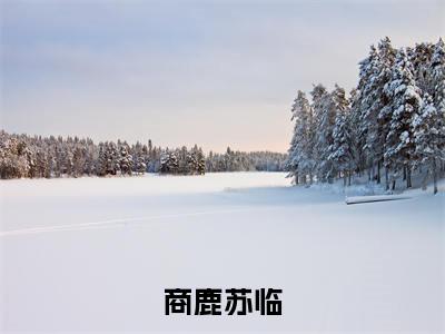 苏临商鹿热门小说在哪免费看-小说商鹿苏临（苏临商鹿）完整版全文在线赏析