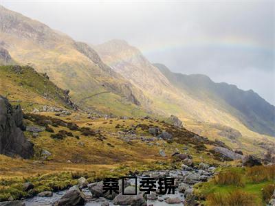 季锡桑氿（桑氿季锡）在哪免费看-季锡桑氿小说（桑氿季锡）全文完整版免费阅读