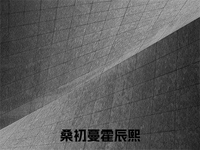 热文霍辰熙桑初蔓在线免费读-桑初蔓霍辰熙的小说（霍辰熙桑初蔓）完整版免费读全文