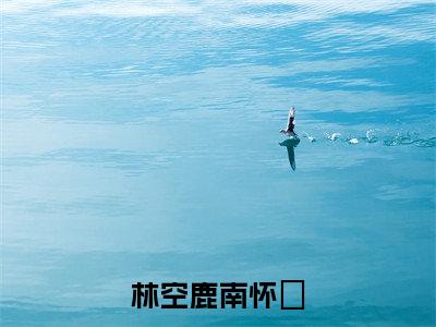 南怀璟林空鹿快手小说（林空鹿南怀璟）txt阅读大结局-抖音近期热门南怀璟林空鹿全文免费