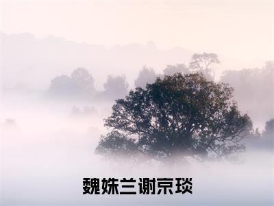 魏姝兰谢京琰小说热门章节免费阅读_魏姝兰谢京琰最新章节列表_笔趣阁