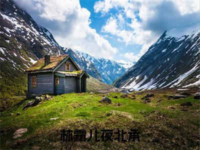 林霜儿夜北承（夜北承林霜儿小说免费阅读）全文免费阅读无弹窗大结局_（夜北承林霜儿）林霜儿夜北承小说免费阅读最新章节列表笔趣阁（夜北承林霜儿免费阅读）
