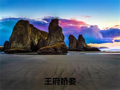 王府娇妾(叶夕颜顾朝辞)全文免费阅读无弹窗大结局_(叶夕颜顾朝辞免费阅读)王府娇妾无弹窗最新章节列表_笔趣阁（叶夕颜顾朝辞）