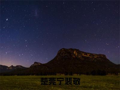 裴敬楚莞宁（楚莞宁裴敬）免费小说完整版阅读-（裴敬楚莞宁）最新章节在线阅读