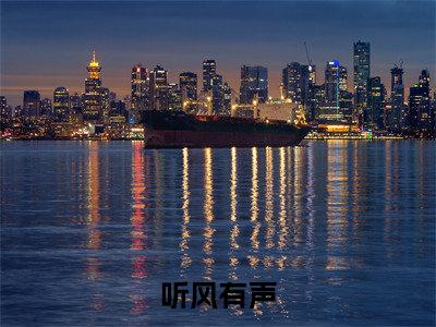 小说听风有声（裴景肆虞纾）全文免费阅读-2023最火热门小说听风有声最新章节更新