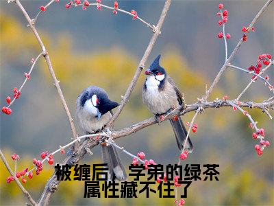 被缠后，学弟的绿茶属性藏不住了（柯怡季易）小说在线阅读_被缠后，学弟的绿茶属性藏不住了全本免费小说阅读（柯怡季易）