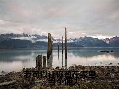 宋晚婉陆熠晨（我可以让你留在家里，当个佣人）全文免费阅读无弹窗大结局_宋晚婉陆熠晨最新章节列表_笔趣阁