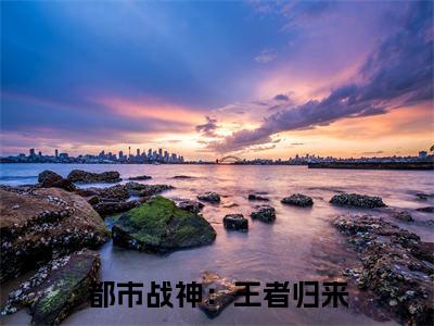  叶新林清雪(都市战神：王者归来)全文免费阅读无弹窗_（ 叶新林清雪全文免费阅读无弹窗） 叶新林清雪最新章节列表_笔趣阁(都市战神：王者归来)