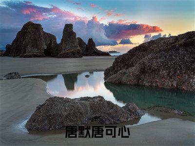 主角是唐可心唐默的小说-唐默唐可心全章节在线阅读