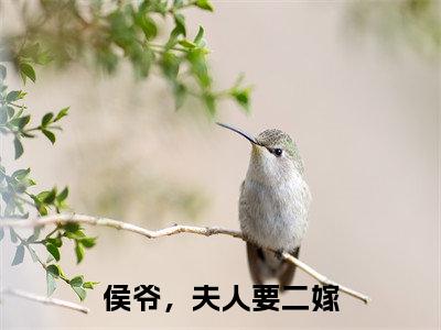 柳月寒商鹤余在哪免费看 柳月寒商鹤余结局是什么（侯爷，夫人要二嫁）小说无弹窗免费阅读