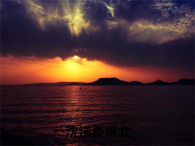 （秦宸北沈沫小说完整版）沈沫秦宸北全文免费阅读-（沈沫秦宸北）秦宸北沈沫小说最新章节列表