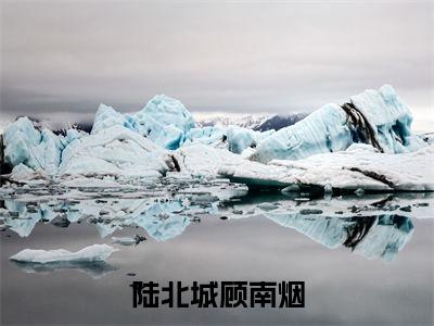 顾南烟陆北城（陆北城顾南烟）全文免费阅读无弹窗大结局_ 顾南烟陆北城免费阅读无弹窗最新章节列表_笔趣阁