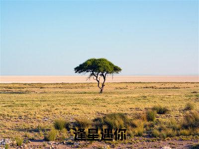 薄司寒时倾砚免费逢星遇你读无弹窗最新章节列表_笔趣阁（薄司寒时倾砚）