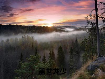 盖世龙少小说全文免费阅读陈飞免费完整版阅读