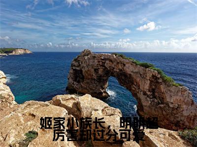 姬家小族长，明明超厉害却过分可爱抖音热推小说全集无删减姬凡林沛珊最新章节列表免费阅读_（姬家小族长，明明超厉害却过分可爱）最新章节列表笔趣阁