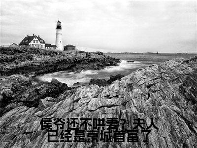 侯爷还不哄妻？夫人已经是京城首富了（牧舒远陆沧洲）免费小说-侯爷还不哄妻？夫人已经是京城首富了小说完整版阅读