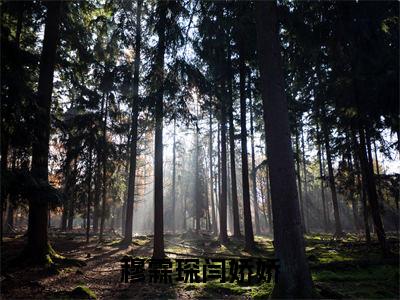 穆霖琛闫娇娇在线阅读（闫娇娇穆霖琛）全文免费阅读无弹窗大结局_闫娇娇穆霖琛最新章节列表笔趣阁（穆霖琛闫娇娇）