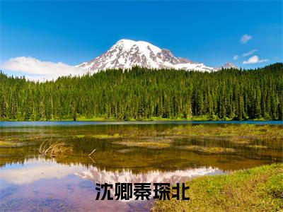 秦琛北沈卿（沈卿秦琛北）免费小说-（沈卿秦琛北）完结版在线阅读