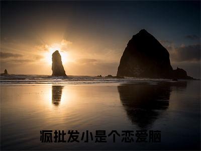 疯批发小是个恋爱脑（许南席陈挽侬）全文免费阅读无弹窗大结局_疯批发小是个恋爱脑最新章节列表