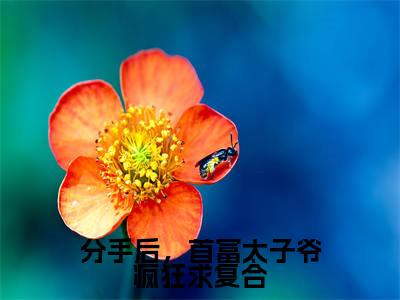 《陆风晴霍怀安》分手后，首富太子爷疯狂求复合(热推新书)-抖音热推分手后，首富太子爷疯狂求复合无弹窗阅读