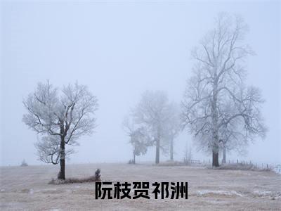 贺祁洲阮枝全文免费阅读_（阮枝贺祁洲免费阅读无弹窗）贺祁洲阮枝最新章节列表笔趣阁（阮枝贺祁洲）