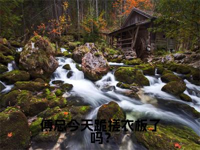 傅总今天跪搓衣板了吗？小说最新章节-傅宴辞江沅全文免费阅读无弹窗大结局