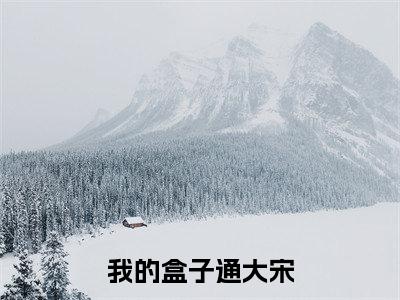 我的盒子通大宋全文免费阅读无弹窗大结局（顾临之）_我的盒子通大宋最新章节列表_笔趣阁（顾临之）