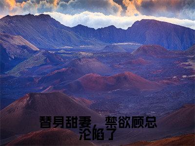 替身甜妻，禁欲顾总沦陷了（安颜顾承郁）免费阅读无弹窗大结局_替身甜妻，禁欲顾总沦陷了小说（安颜顾承郁）免费阅读最新章节列表（安颜顾承郁）