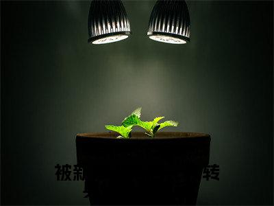 被新帝退婚后，我转身做了他皇婶（沈袅袅容越）小说免费无弹窗大结局-被新帝退婚后，我转身做了他皇婶小说全文完整版阅读