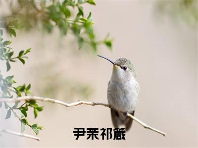 尹茉祁箴小说最新试读_祁箴尹茉是（尹茉祁箴）_笔趣阁（尹茉祁箴）