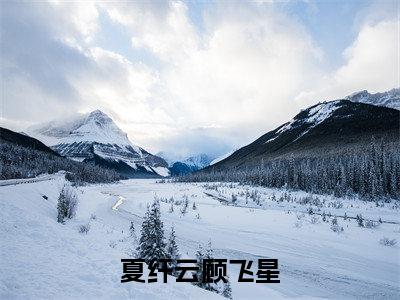 小说《夏纤云顾飞星》全文免费阅读无弹窗-夏纤云顾飞星（顾飞星夏纤云）小说全文在线赏析_笔趣阁