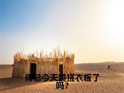 傅总今天跪搓衣板了吗？（傅宴辞江沅）小说全文免费阅读大结局-傅总今天跪搓衣板了吗？免费阅读无弹窗大结局
