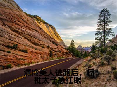 清冷美人逃跑后，疯批太子急红眼 小说最新章节阅读 清冷美人逃跑后，疯批太子急红眼 南栀全文免费阅读最新章节大结局