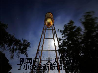 别再闹！夫人都改嫁了小说全新版试读小说( 萧炎林姝)全文免费阅读无弹窗大结局_ 萧炎林姝小说免费阅读无弹窗最新章节列表_
