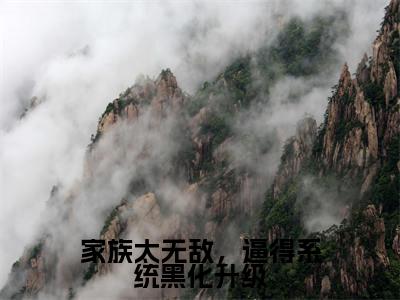 陈牧小说（家族太无敌，逼得系统黑化升级小说）全文免费阅读无弹窗大结局_(陈牧小说免费阅读)家族太无敌，逼得系统黑化升级小说无弹窗最新章节列表_笔趣阁（陈牧小说）