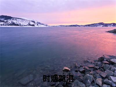 时烟贺湛贺湛时烟小说结局-时烟贺湛全文无弹窗阅读