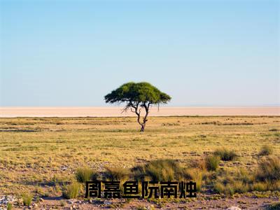 周嘉鱼阮南烛(阮南烛周嘉鱼)小说全文免费阅读完整版-周嘉鱼阮南烛免费在线阅读大结局（阮南烛周嘉鱼）