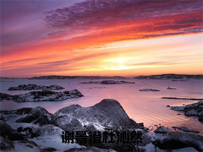 谢景澄杜沁然全本资源免费阅读结局无删节主角：杜沁然谢景澄小说全文阅读无弹窗