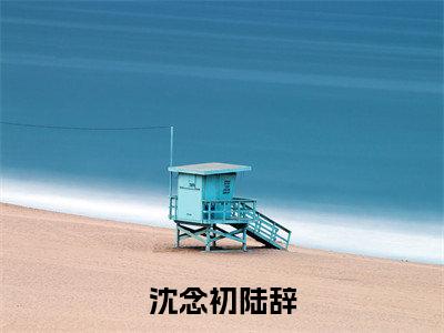 沈念初陆辞全文免费阅读_（陆辞沈念初免费阅读无弹窗）陆辞沈念初最新章节列表笔趣阁