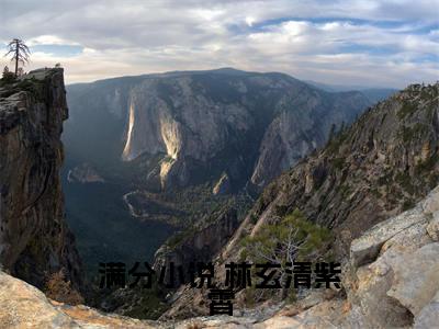 穿越老祖的我双手插兜，没有对手全文（ 林玄清紫霄）全文免费阅读无弹窗大结局_ 林玄清紫霄全文最新章节列表_笔趣阁（穿越老祖的我双手插兜，没有对手）