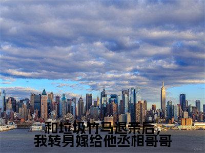 姜珍贺文书（和垃圾竹马退亲后，我转身嫁给他丞相哥哥）全文免费阅读_姜珍贺文书小说最新章节列表笔趣阁