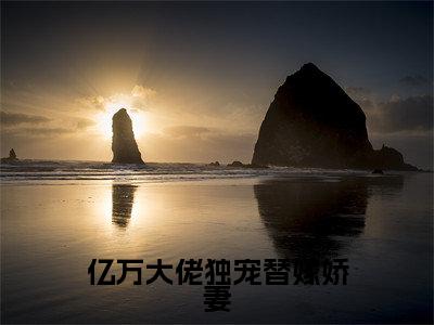 亿万大佬独宠替嫁娇妻（黎洛夜少倾）全文无弹窗阅读-亿万大佬独宠替嫁娇妻（黎洛夜少倾）最新章节完整版阅读