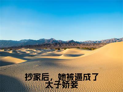 抄家后，她被逼成了太子娇妾全文阅读-（云楚洛）抄家后，她被逼成了太子娇妾小说全文免费阅读_最新章节列表_笔趣阁